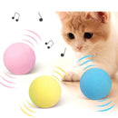 Bola Interativa para Gatos - CatBall